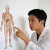 Dr. Kenji Tanaka