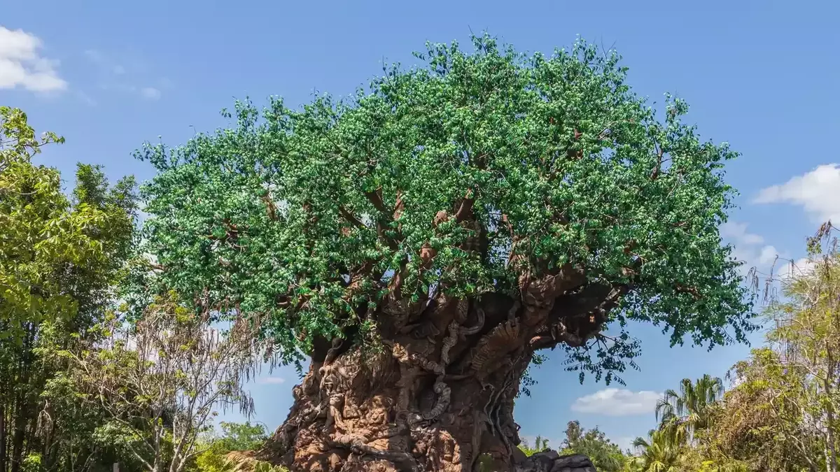 A Magical Family Journey: Discovering Unity at Disney's Animal Kingdom