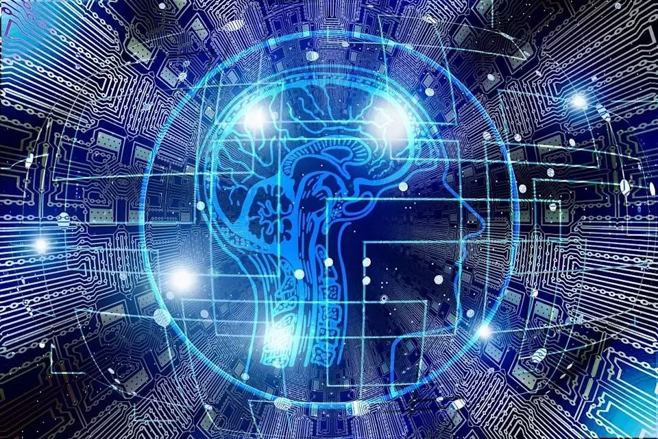 XBP Global Faces Significant Financial Headwinds: Revenue and EBITDA Decline
