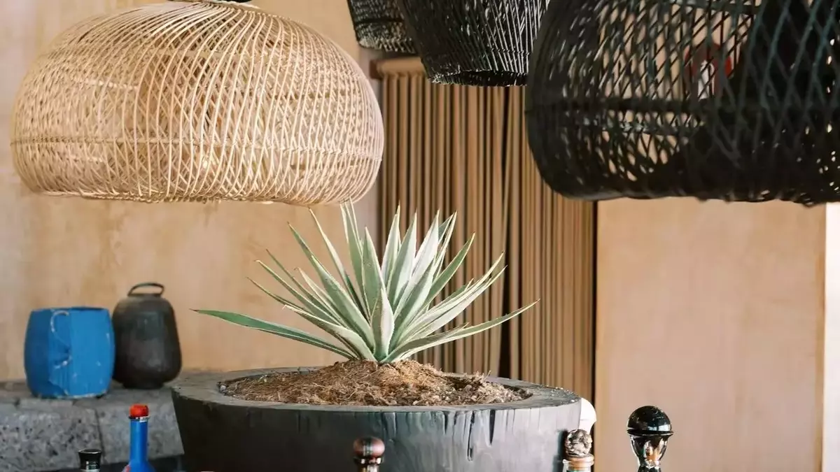 Rosewood Mandarina: A Culinary Journey in Riviera Nayarit