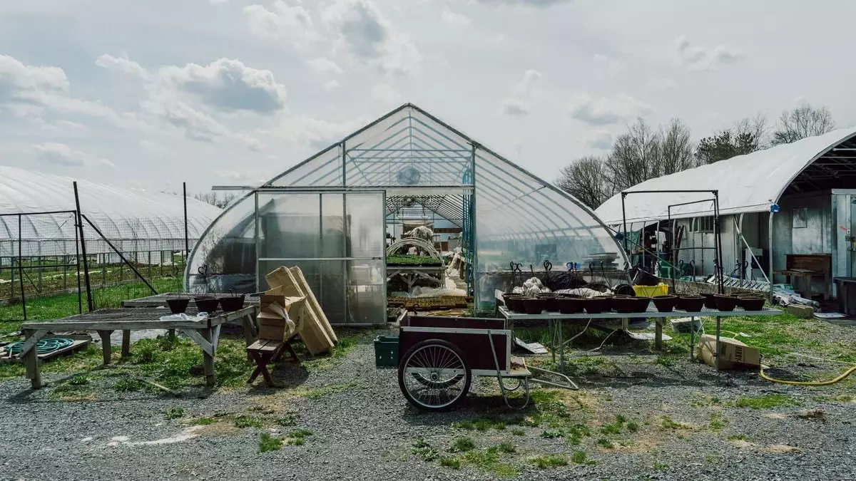 Korean Culinary Masters Establish "First Hand Farm" in Hudson Valley to Cultivate Traditional Ingredients
