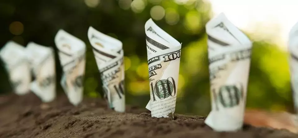 Leading Green Energy Stocks for Sustainable Investment