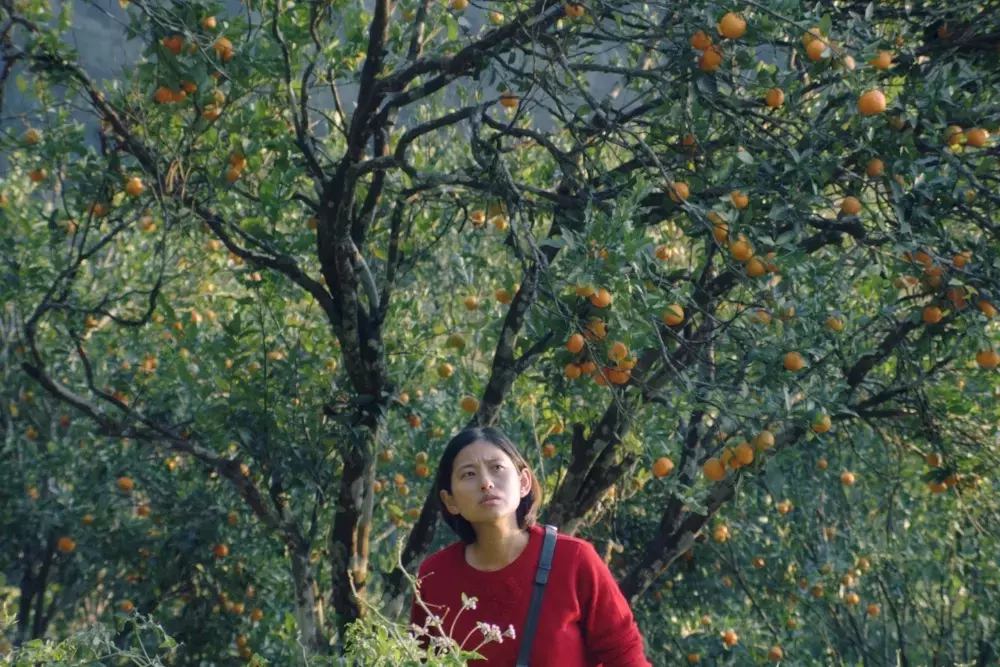 Critically Acclaimed 'Shape of Momo' Secures Indian Theatrical Release, Backed by Prominent Industry Figures