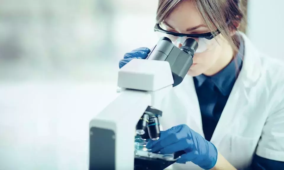 Analyzing Danaher Corporation's Investment Potential Amidst Market Shifts