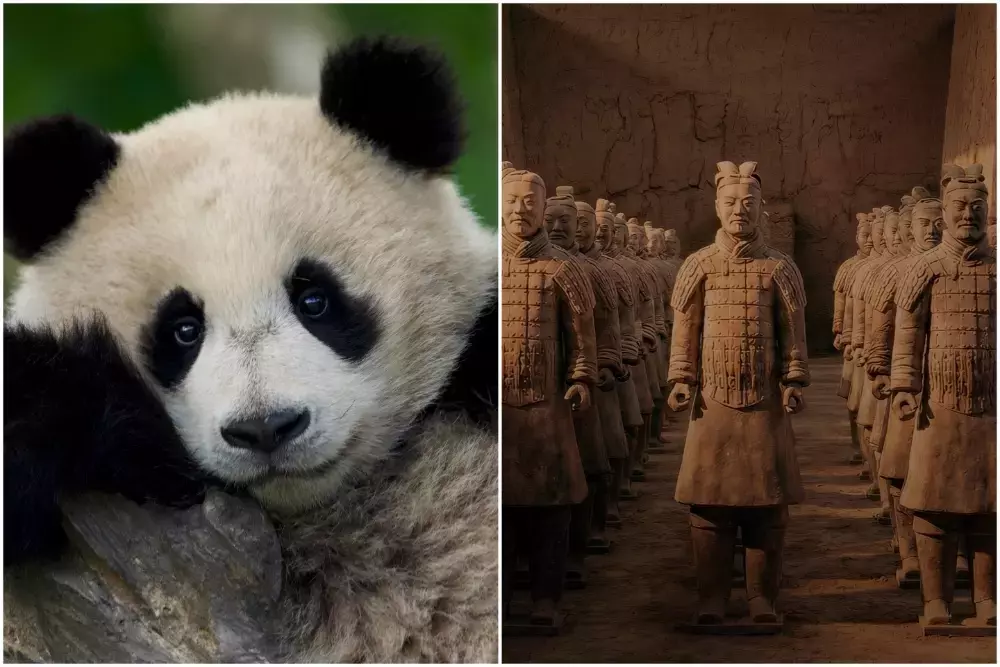 Fremantle's Beach House Pictures Unveils New Documentaries: 'Panda School' and 'Secret Weapons of China's First Emperor'