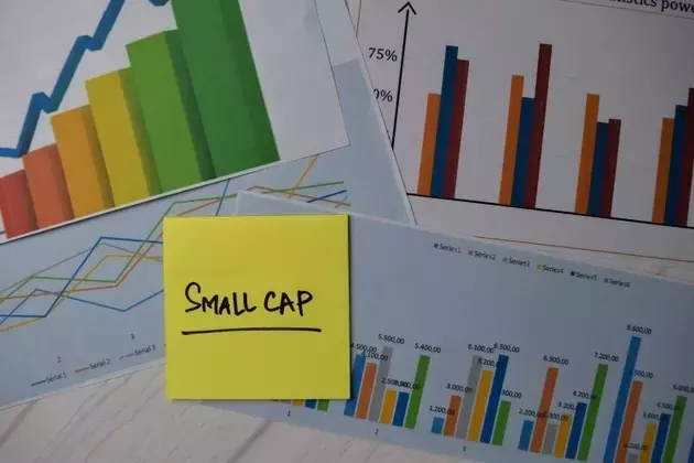 Fidelity Small-Cap Fund Shows Strong Q1 Performance