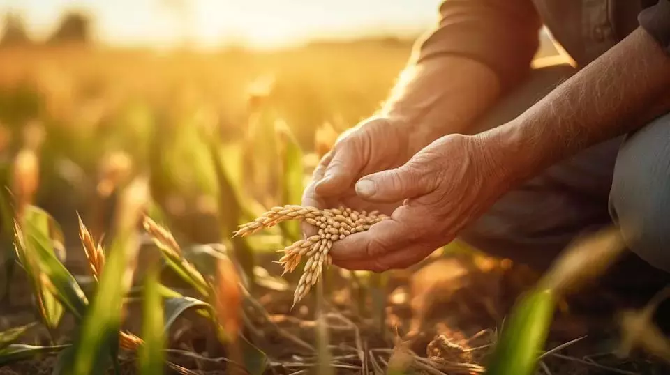 Divergent Analyst Perspectives on Nutrien (NTR) Following First Quarter Financials