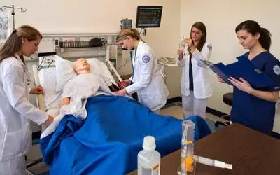 Online classes for nursing assistants: a practical guide to flexible learning and career development