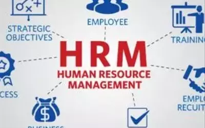 Human Resources Courses: Building Skills for Modern Workplaces