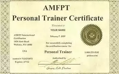 From Passion to Profession: How to Earn Your Personal Trainer Certification
