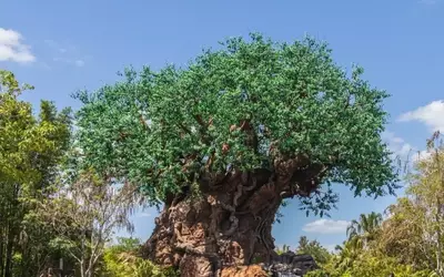 A Magical Family Journey: Discovering Unity at Disney's Animal Kingdom
