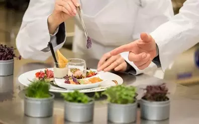 Online Culinary School: Educational Structure, Core Knowledge, and Learning Context