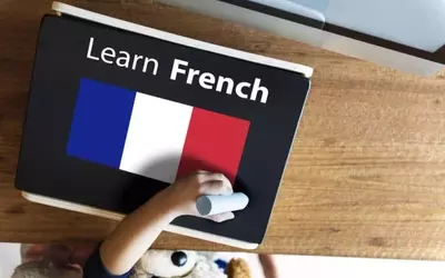 Online French Learning: Learning Structure, Content Framework, and Study Considerations