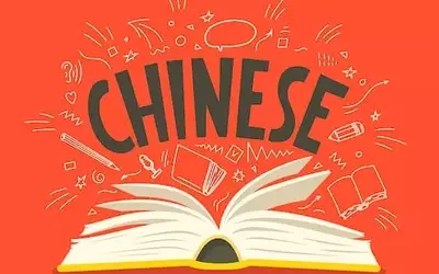 Chinese Language Curriculum: A Systematic and Pedagogical Overview