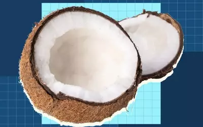 The Comprehensive Guide to Coconuts and Their Culinary Applications