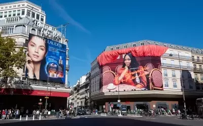 Navigating the Complexities of Estee Lauder's Financial Performance
