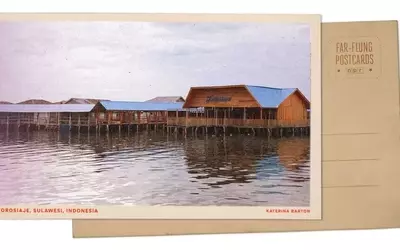 Mangrove Conservation: A Lifeline for Indigenous Fishing Communities in Indonesia