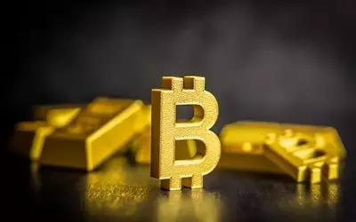 Analyzing the Bitcoin-Gold Dynamic: A Macro-Economic Perspective