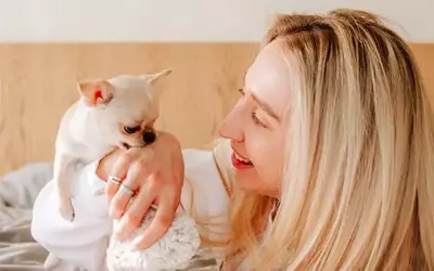 Understanding and Managing Your Dog's Nibbling Behavior