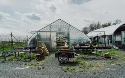 Korean Culinary Masters Establish "First Hand Farm" in Hudson Valley to Cultivate Traditional Ingredients