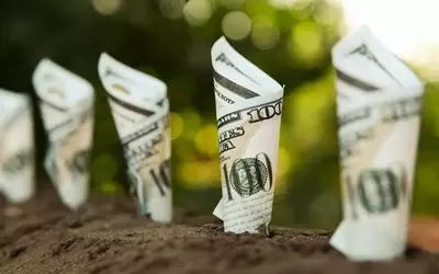 Leading Green Energy Stocks for Sustainable Investment