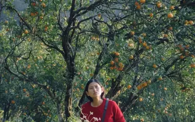 Critically Acclaimed 'Shape of Momo' Secures Indian Theatrical Release, Backed by Prominent Industry Figures
