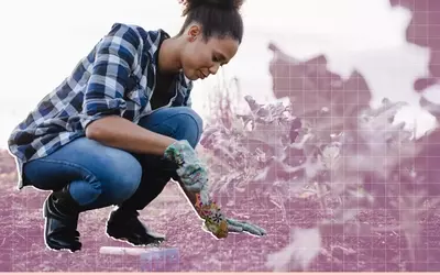 Transforming Your Garden: Innovative Uses for Everyday Food Scraps