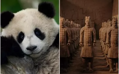 Fremantle's Beach House Pictures Unveils New Documentaries: 'Panda School' and 'Secret Weapons of China's First Emperor'
