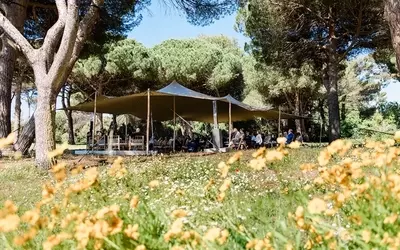 CAA and Finch & Partners Host Cannes Symposium on the Future of Cinema