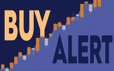 ICF International Director Buys 8,000 Shares Amidst Stock Dip
