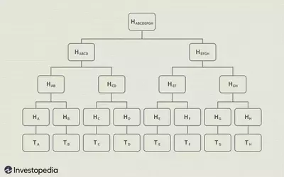 Understanding Merkle Trees in Blockchain Technology
