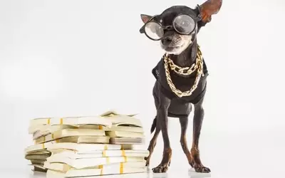 Strategic Cash Allocation: Re-evaluating Investments in Treasury Bonds