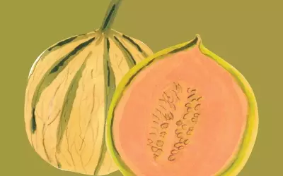 Discovering the Diverse World of Summer Melons