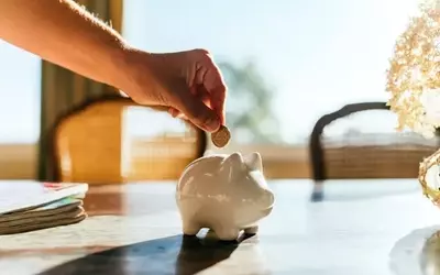 DFP: Steady NAV Growth and Positive Outlook Amidst Declining Rates