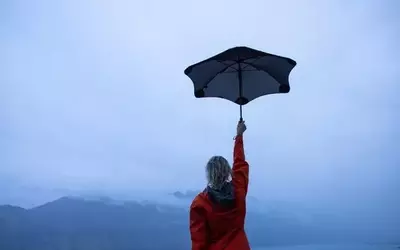 Crafting a Robust All-Weather Dividend Portfolio for Long-Term Growth