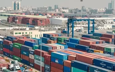 RUI Holdings IPO: A Deep Dive into Its Overvalued Logistics Business