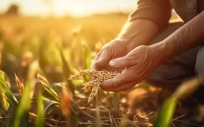Divergent Analyst Perspectives on Nutrien (NTR) Following First Quarter Financials