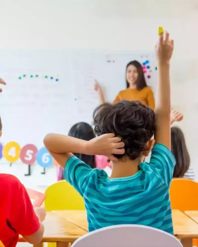 Children’s English Language Training: A Neutral Overview of Structure