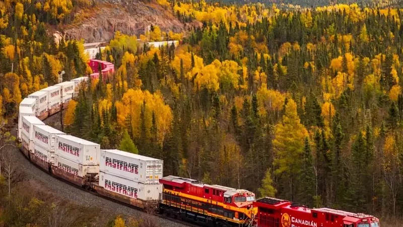 Fastfrate's Journey: From Railcars to a Leading Logistics Empire