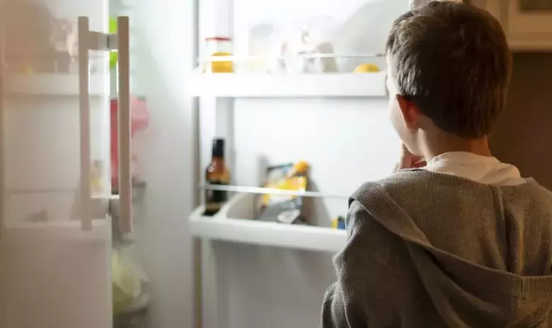 Scegli il Frigorifero Perfetto per la Tua Cucina: Guida Completa ai Modelli Più Adatti