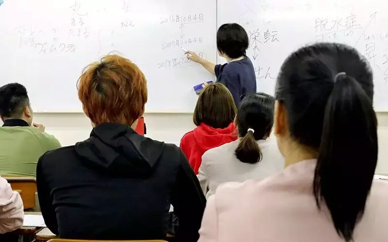 Online Japanese Learning: Structure, Content Areas, and Learning Context