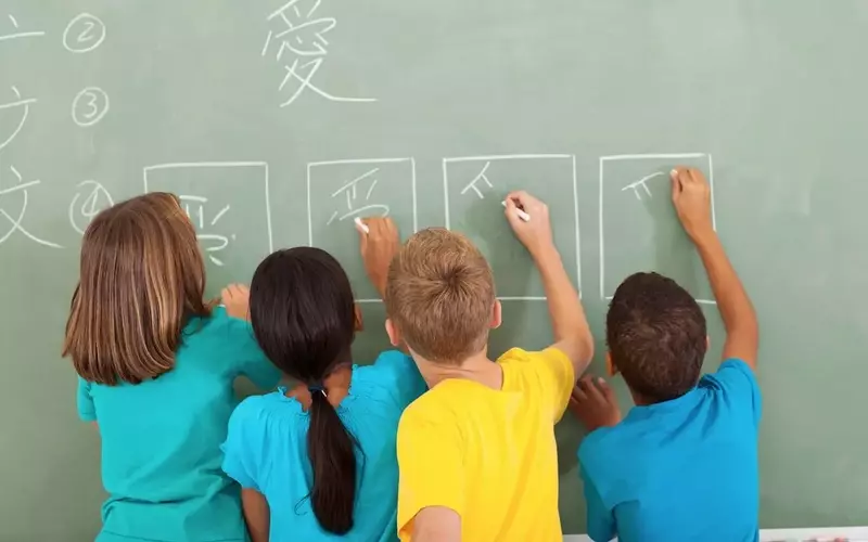 Chinese Language Courses: Structured Learning for Global Communication and Career Advancement