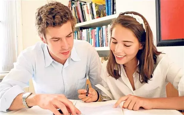 Online Language Tutor: Definition, Educational Foundations, and Digital Learning Context