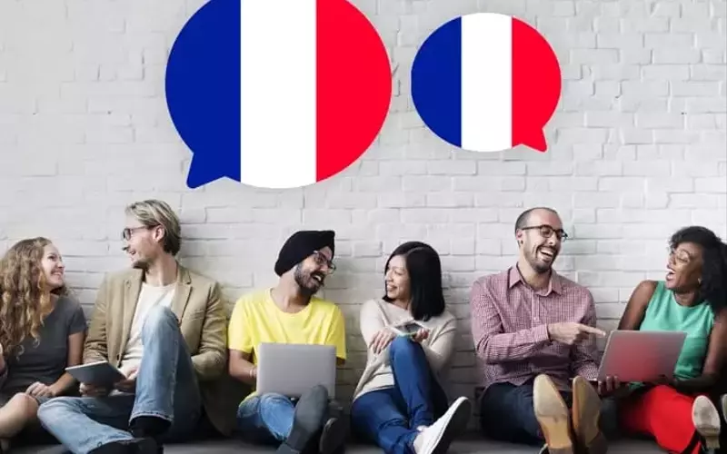 French Language Courses: A Systematic and Pedagogical Overview