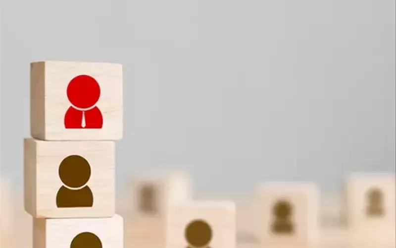 Human Resource Management Education: A Systematic and Professional Overview
