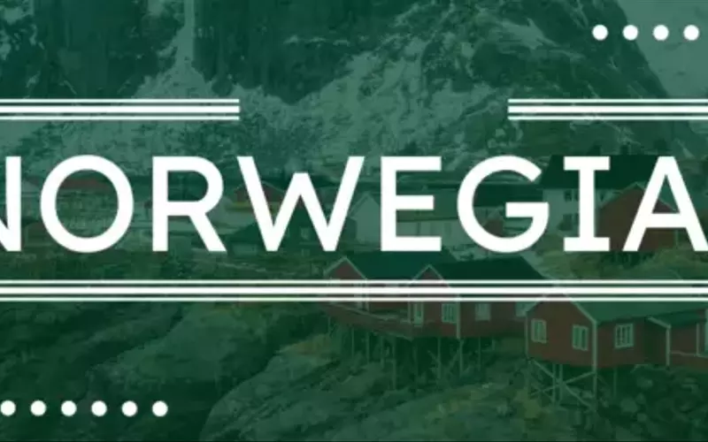 Online Norwegian Language Courses: A Scientific Overview of Concepts, Learning Mechanisms