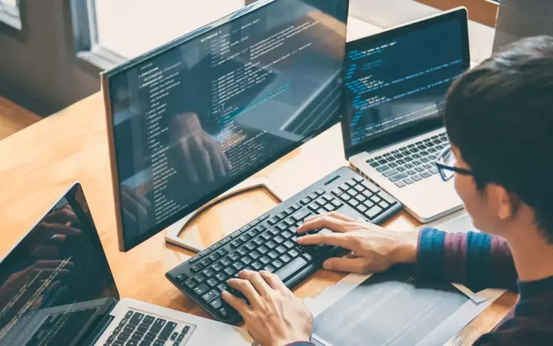 Software Development Training: A Scientific Overview of Principles, Approaches