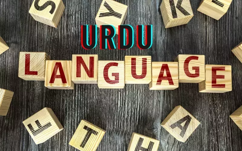 Urdu Language Courses: A Neutral Scientific Overview of Concepts, Mechanisms
