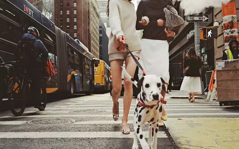 The Transformative Power of Footwear: Embracing Bold Styles
