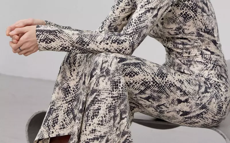 Petar Petrov's Fall 2026 Ready-to-Wear: Aerodynamic Elegance and Pragmatic Luxury
